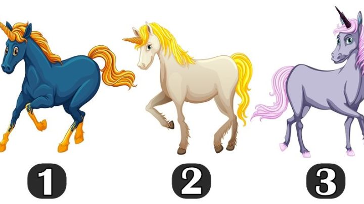 Konj je simbol snage i mudrosti,a  onaj kojeg izaberes ti otkriva sta te ceka do kraja  godine!