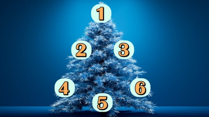 Drvo decembarskih zelja: Broj koji izaberes otkriva hoce li se tvoja najveca zelja ostvariti!