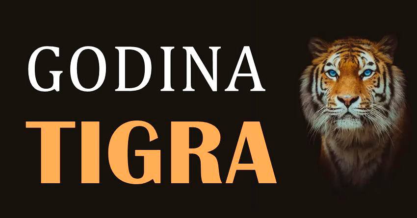 Godina Tigra pocinje prvog februara – ceka nas ludilo u narednih 12. meseci! Godina Tigra pocinje prvog februara – ceka nas ludilo u narednih 12. meseci!