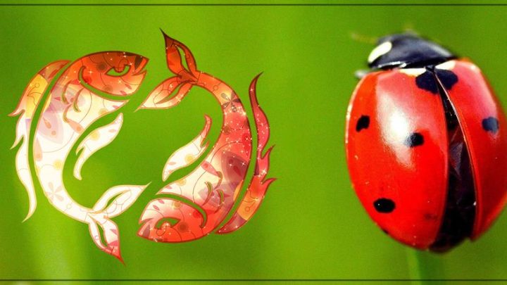 Vladavina Ribe traje do 20. marta, a ovi  znaci ce do tada imati najvise srece!