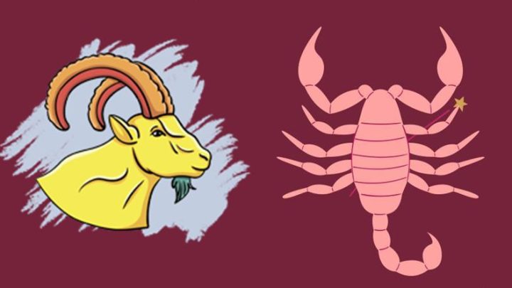 Jarcevi i skorpije, blago vama  u  buducnosti, sledi vam nesto posebno!