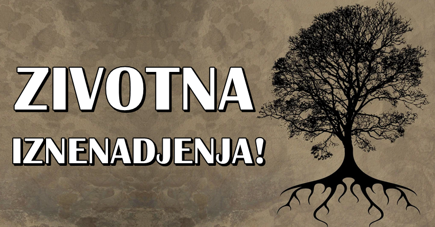 U njihovim zivotima vise nista nece biti isto – neka se ovi znaci spreme za velika zivotna iznenadjenja! U njihovim zivotima vise nista nece biti isto – neka se ovi znaci spreme za velika zivotna iznenadjenja!