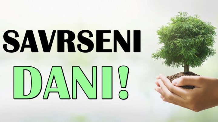 Najvece iznenadjenje! Dani do kraja jula ce ovim zodijaku biti najlepsi dani ikada!