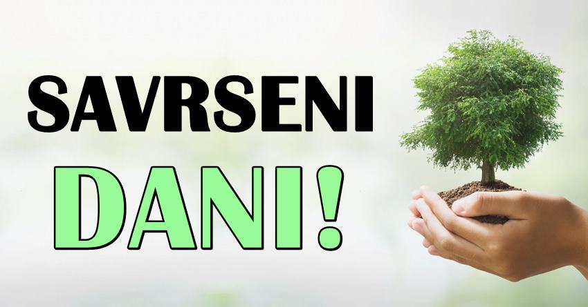 Najvece iznenadjenje! Dani do kraja jula ce ovim zodijaku biti najlepsi dani ikada! Najvece iznenadjenje! Dani do kraja jula ce ovim zodijaku biti najlepsi dani ikada!