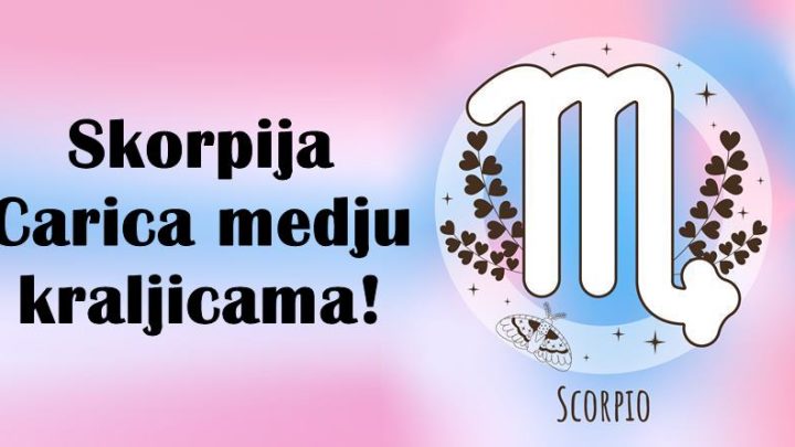 Skorpije su pravi kraljevi i kraljice,svi ostali su samo obicni pijuni!