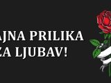 Sjajna prilika,ljubav.