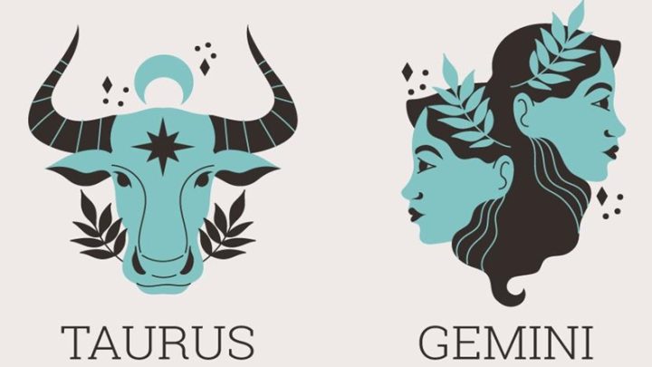 Bik i blizanci:Naredne dve sedmice mogu da promene bas sve!