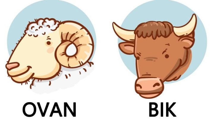 Ovan i Bik:Vreme je da saznate da se vas zivot menja u narednih sedam dana!