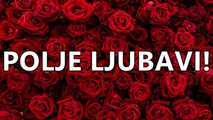 Vreme je za najlepse vesti:Ovim znacima ce u narednim danima krenuti na polju emocija!