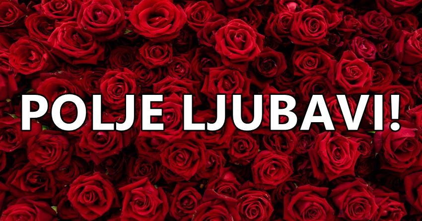 Vreme je za najlepse vesti:Ovim znacima ce u narednim danima krenuti na polju emocija! Vreme je za najlepse vesti:Ovim znacima ce u narednim danima krenuti na polju emocija!