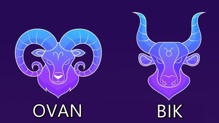 Ovan i Bik:Narednih desetak dana vi cete ici na sve ili nista!