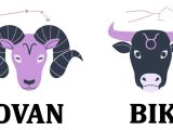 Ovan i bik.