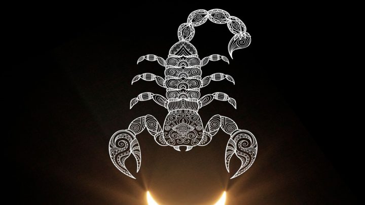 Skorpija-zodijak koji bezgranicno voli, ali nikada ne prasta i ne vraca se starim ljubavima!