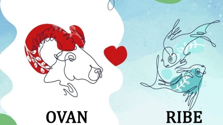 Ovan i Ribe:Prepustite se i uzivajte,slede vam savrseni trenuci!