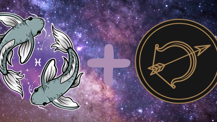 Strelac i Ribe:Neodoljivi,kao kralj i kraljica zodijaka,san svake osobe!