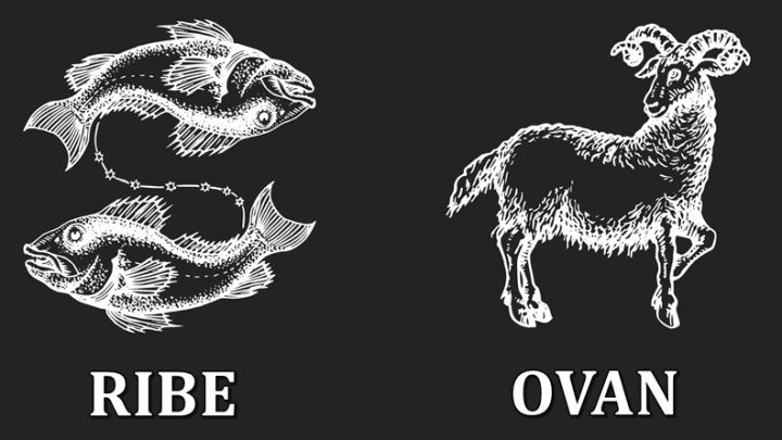 Ribe i Ovan-kraljevi zivota:Rodjeni su da uzivaju!