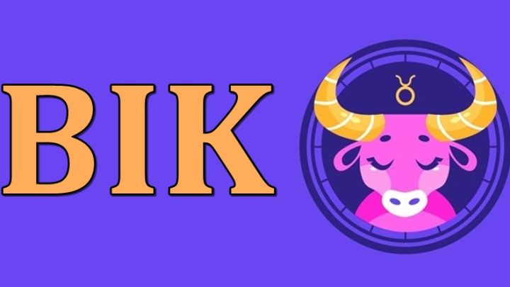 Bik-znak koji ce,ako treba,ici glavom kroz zid,ali ce ostvariti ono sto naumi!