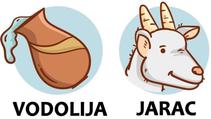 Vodolija i Jarac:Vole bez granica i nikada ne varaju!