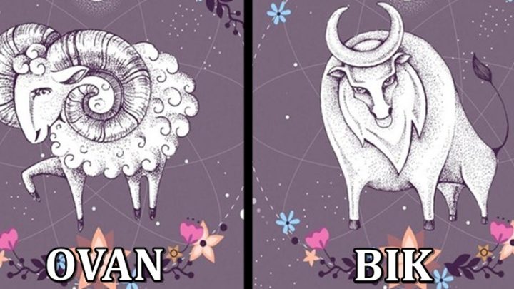 Ovan i Bik:Ovo su znaci koji su vas pravi izbor za srecu!