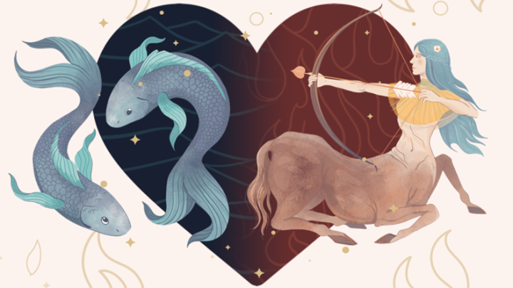 Ribe i Strelac: Prijatelji za pozeleti,ali opasni kao neprijatelji!