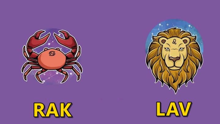 Rak i Lav:Ni zbog koga se ne menjaju, ili ih volite ih na njih zaboravite!