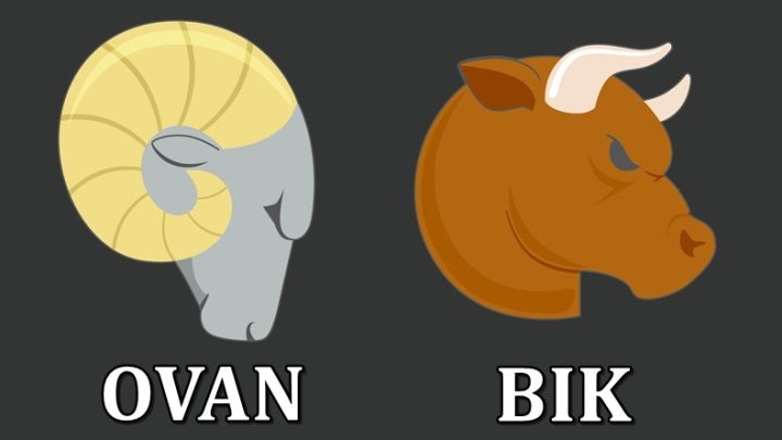 Ovan i Bik:Bice vam ili najbolji na svetu ili vasa najveca nocna mora!