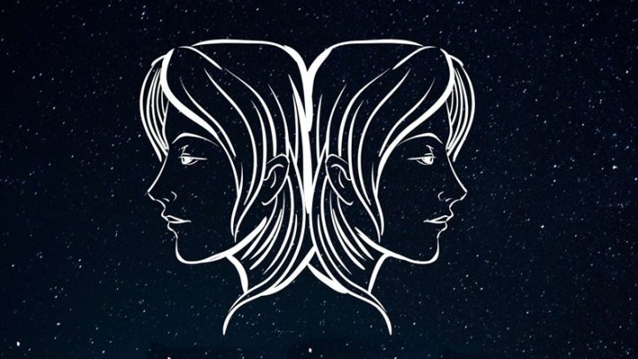 Blizanci:On je pravi majstor u svemu-nema toga sto ne zna!