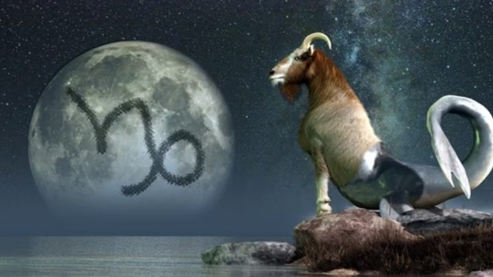 Jarac:Oprostice neoprostivo,ali izdaju i laz nikada!