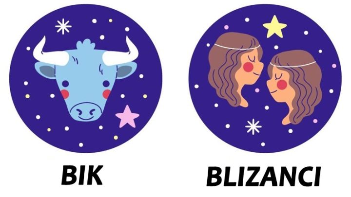 Bik i Blizanci:Uvek su fer,casni i posteni,niko im nista ne poklanja vec sve zasluze!