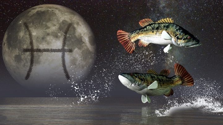 Ribe-ne pristaju na tudje uslove, vec zive kako hoce!