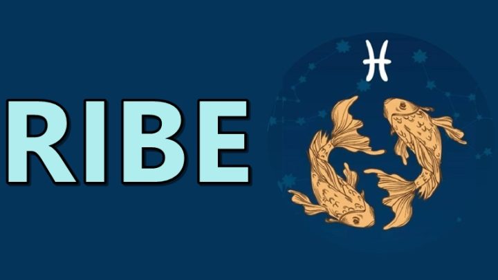 Ribe:Ako vas ostave u proslosti nista ih nece ubediti da se vrate!