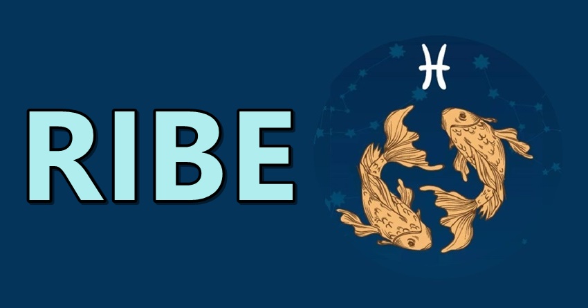 Ribe:Ako vas ostave u proslosti nista ih nece ubediti da se vrate! Ribe:Ako vas ostave u proslosti nista ih nece ubediti da se vrate!