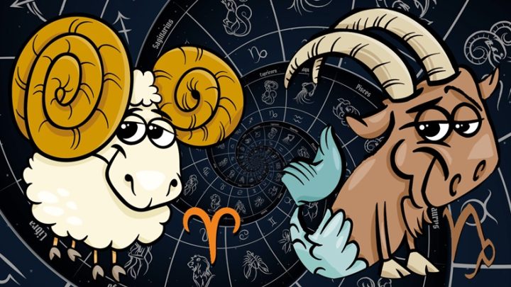 Ovan i Jarac:Imaju tezak karakter,ali srce im je pravi dragulj koji beskrajno voli!