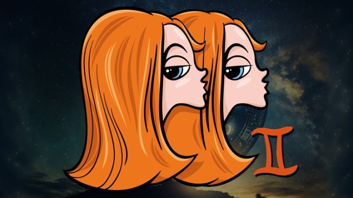 Blizanci su pravi majstori:Sve cega se dotaknu u tome i uspeju!