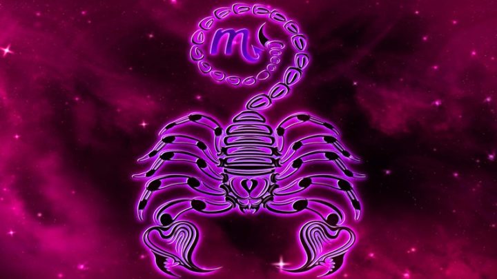 Skorpija ima snazno sesto culo:Ako pokusate da je slazete-samo ce vam se slatko nasmejati!