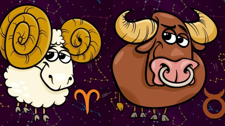 Ovan i Bik:Ne kukaju kada im je tesko,jer nece da ih neko zali!