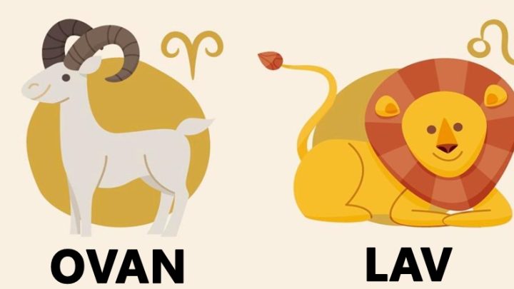 Ovan i Lav:Sve vracaju istom merom,ljubav za ljubav-bol za bol!