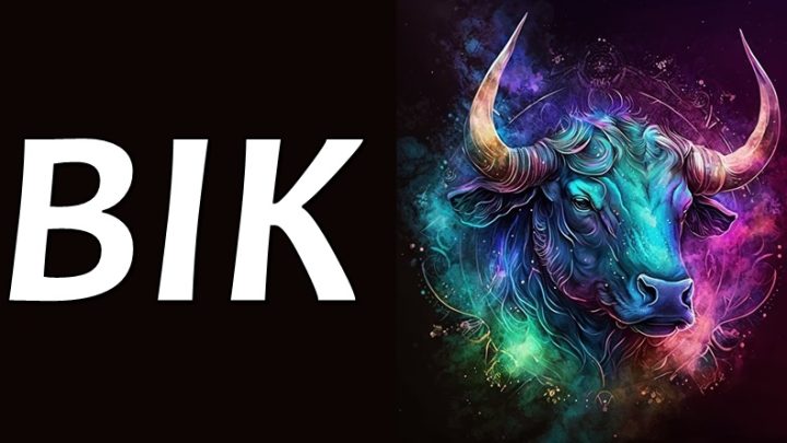 Bik je najcarobniji znak zodijaka-uvek nadje nacin da bude po njegovom!