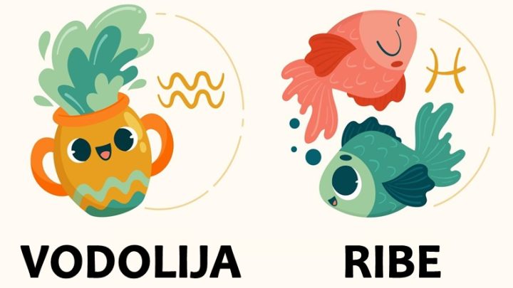 Vodolija i Ribe:Nema postenijih osoba od njih na celom svetu!