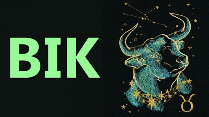 Bik:Znak koji uvek privlaci novac-on prosto ume da se snadje!