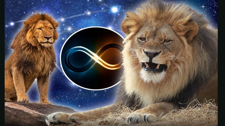 Lav:Ne treba niko da mu kaze da je najbolji,on to zna i sam!