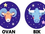 Karakter, ovan, bik.