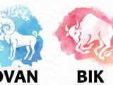 Godisnji horoskop.