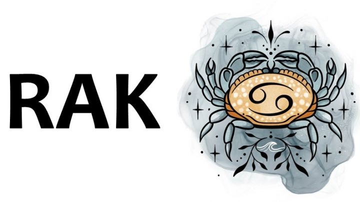 Rak:Prezire laz,reci ce istinu kud puklo-da puklo!