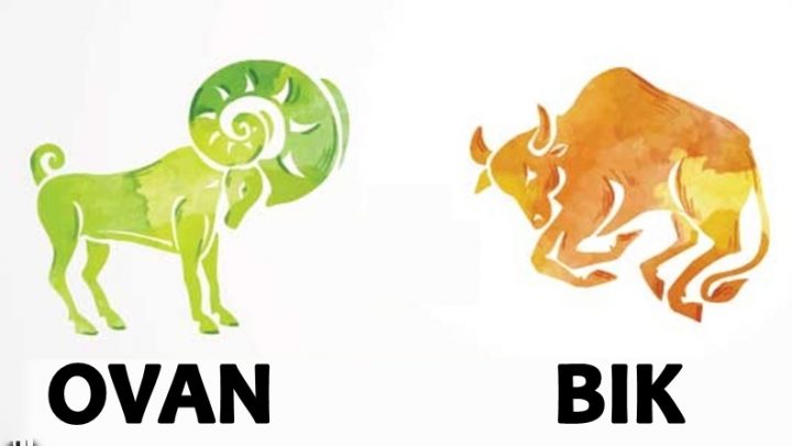 Ovan i Bik:Tamo gde se pojave uvek su u centru paznje!