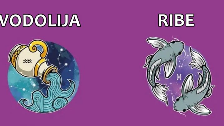 Vodolija i Ribe: Godisnji horoskop za 2024 godinu-12. meseci za cuda!