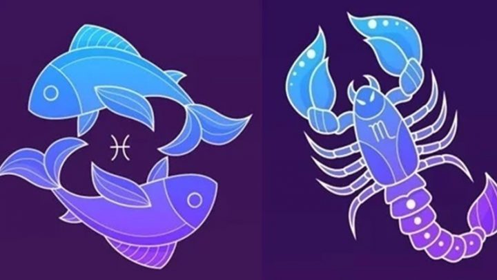 Ribe i Skorpija:Mogu da oproste,ali ne i da zaborave bol koji ste im naneli!