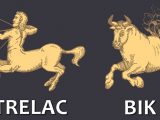 Znaci,zodijak,velika srca.