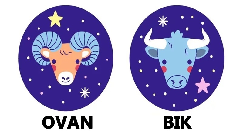 Ovan i Bik:Vi ste dokaz da na svetu postoje dobri ljudi! Ovan i Bik:Vi ste dokaz da na svetu postoje dobri ljudi!