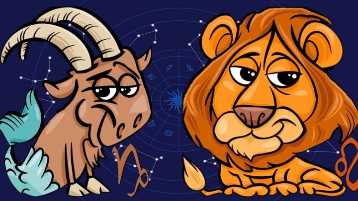 Jarac i Lav:Ne podnose zabrane-namerno rade ako im kazete da nesto ne smeju!